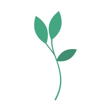 yapraklar dal yaprağı