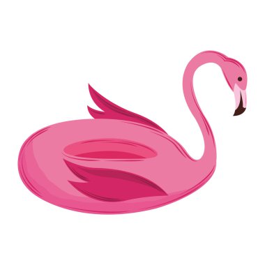 Flamingo yüzeyi izole edildi