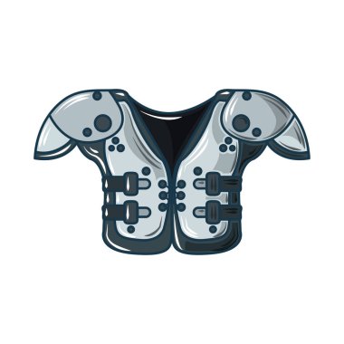 Amerikan futbol takımları