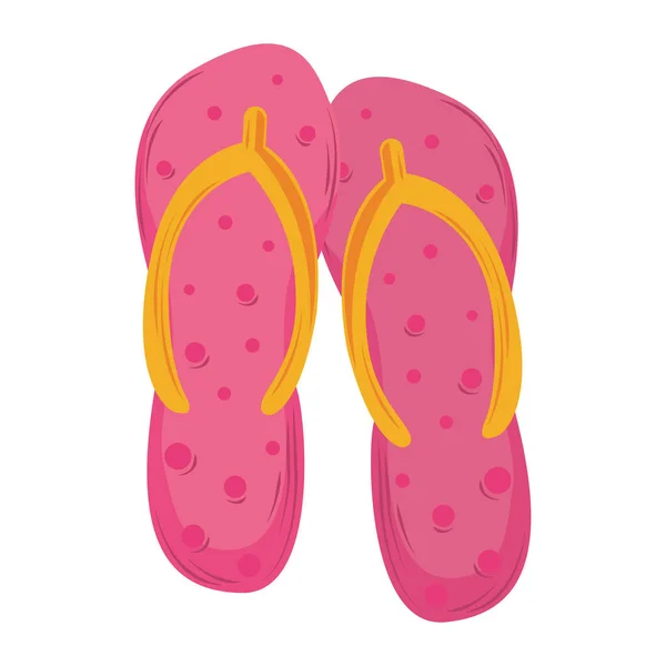 Flip flops isolated — Stock Vector