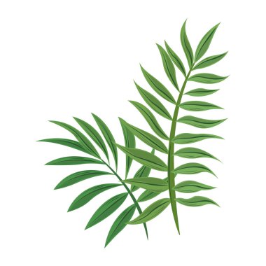 tropikal dal yaprakları