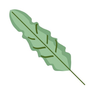 Yaprak doğası botanik