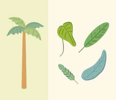 tropik palmiye yaprakları