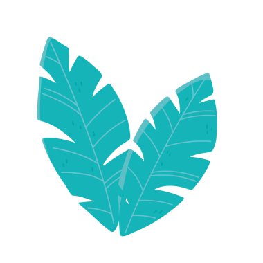 Palmiye yaprakları tropikal