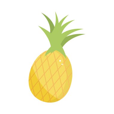 ananas tropikal meyvesi
