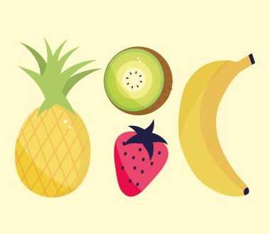 tropikal egzotik meyveler