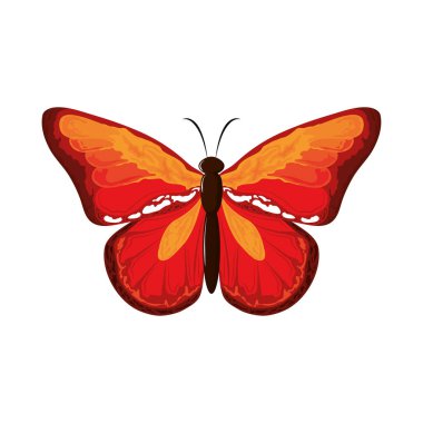 Şirin suluboya kelebek