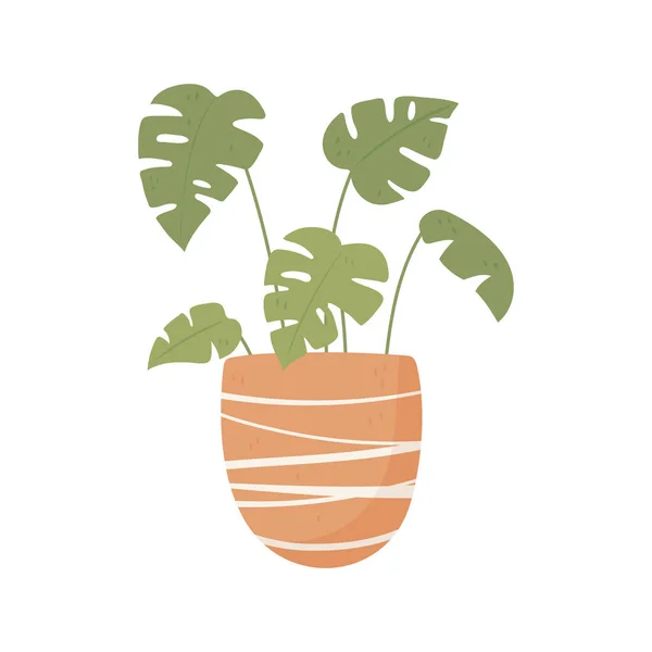 Topfpflanzenblätter — Stockvektor