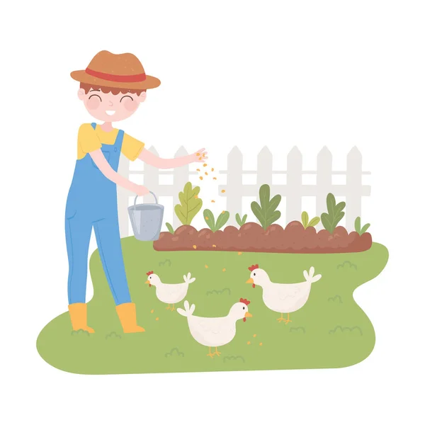 Farmer feeding chickens — Stock Vector