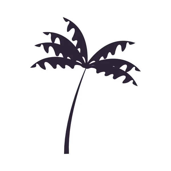 Palmensilhouette — Stockvektor