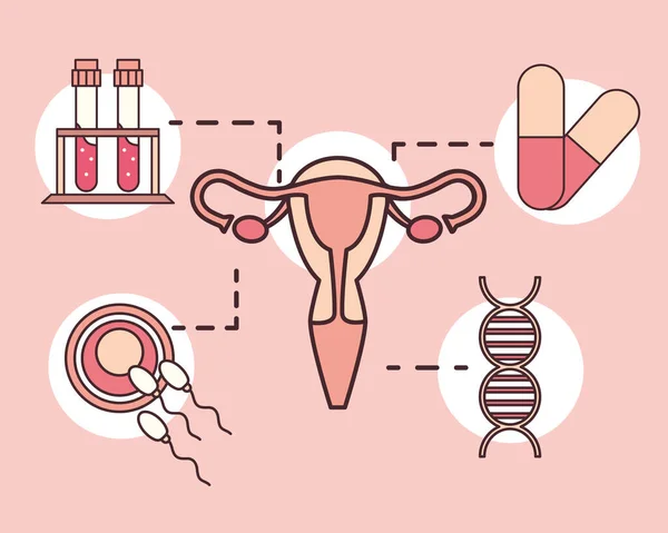 Gynekologická lékařská sada — Stockový vektor