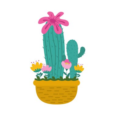 Kaktüs çiçeği saksısı