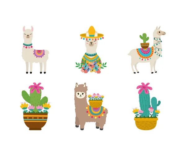 Cute llama collection — Stock Vector