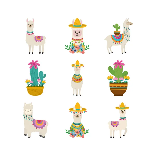 Set llama adorable — Stock Vector