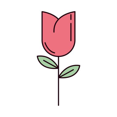 çiçek lale dekorasyonu