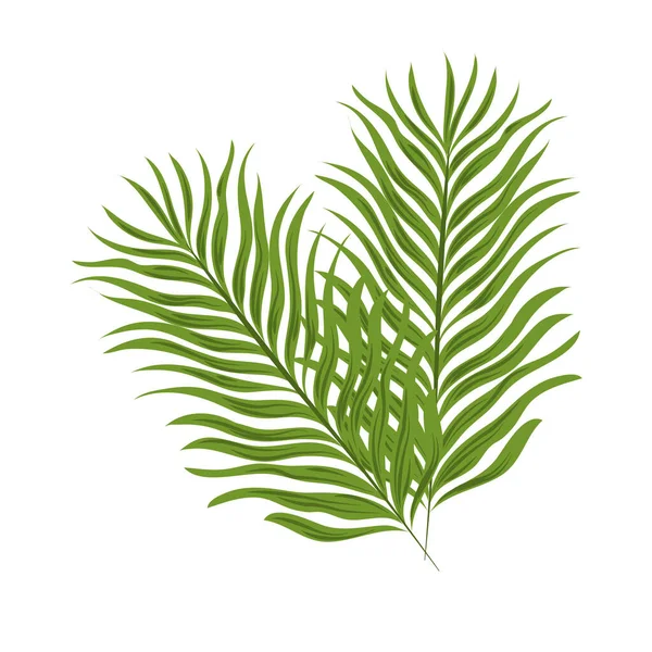 Rama de palma tropical — Vector de stock