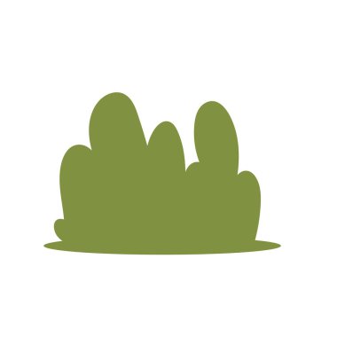 Doğal çalı bitkisi