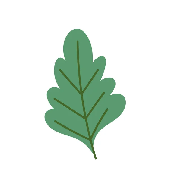 Follaje de hoja verde — Vector de stock