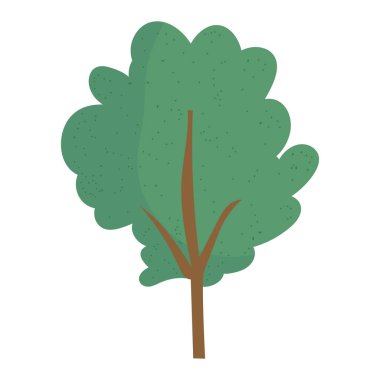 ağaç yeşilliği bitkisi