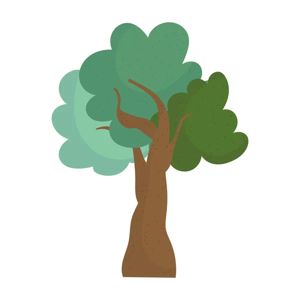 Vegetación de árboles frondosos — Vector de stock