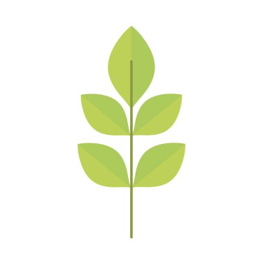 Bitki örtüsü yaprakları