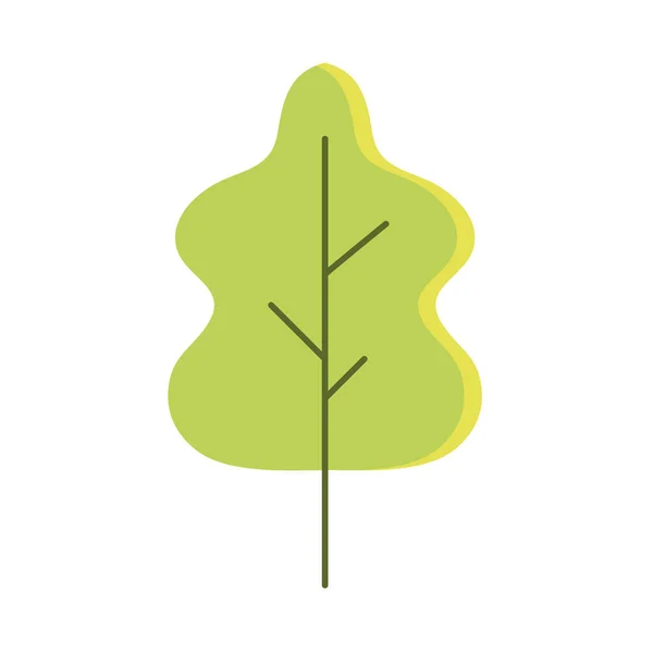 葉の自然 — ストックベクタ