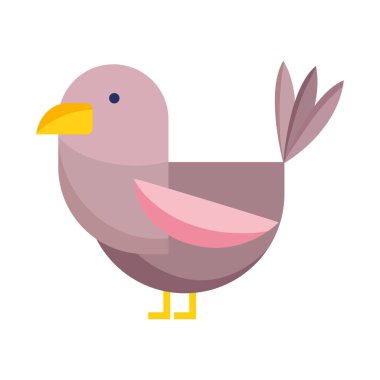 Küçük kuş çizgi filmi