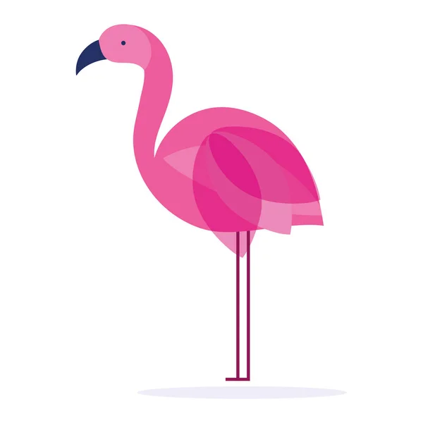 Flamingo rosa pássaro —  Vetores de Stock