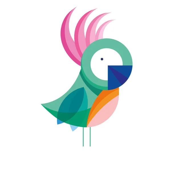 Parrot bird fauna — Stock Vector