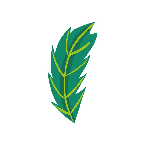 緑の葉の性質 — ストックベクタ