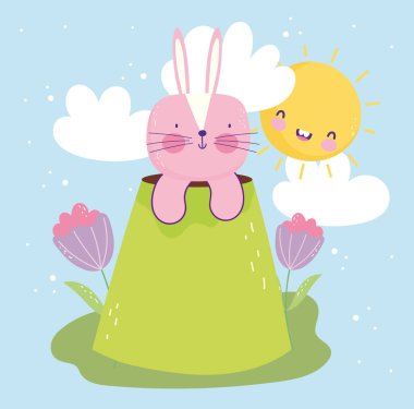 Sevimli tavşan dağ güneşi