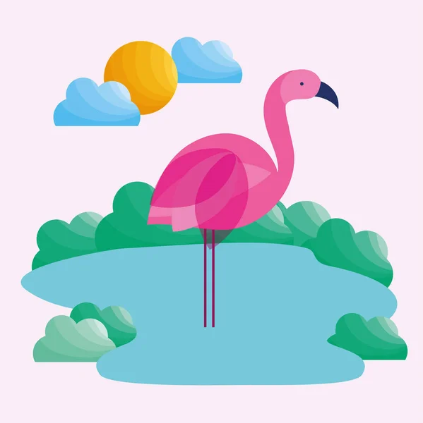 Flamingo auf dem Wasser — Stockvektor