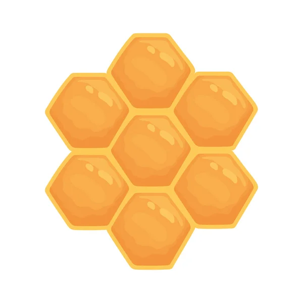 Honeycomb sweey honey — Stock Vector