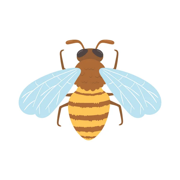 Icono de insecto de abeja — Archivo Imágenes Vectoriales