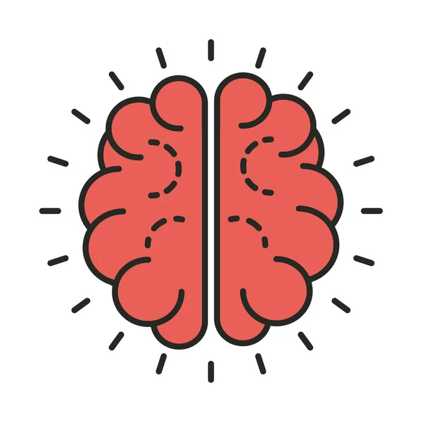 Órgano cerebral humano — Archivo Imágenes Vectoriales