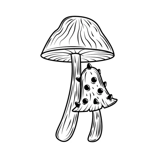 Fungus nature sketch — Stockvector
