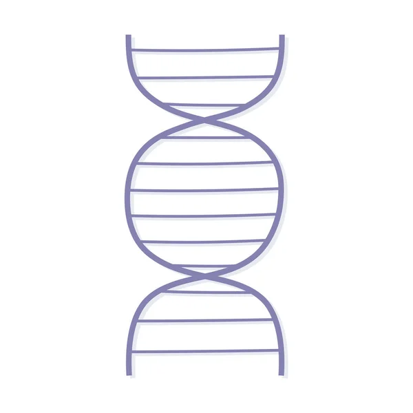 Genetic dna structure — Vetor de Stock