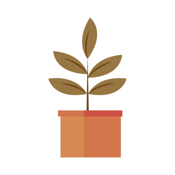 Topfpflanzenblätter — Stockvektor