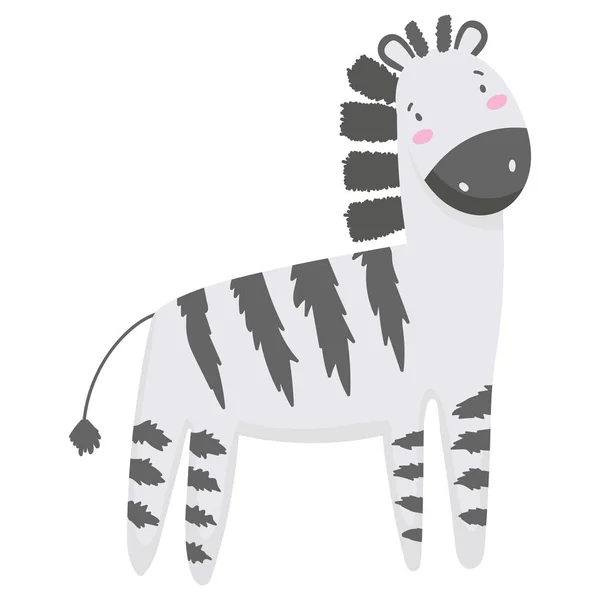 Desenhos animados animais zebra —  Vetores de Stock