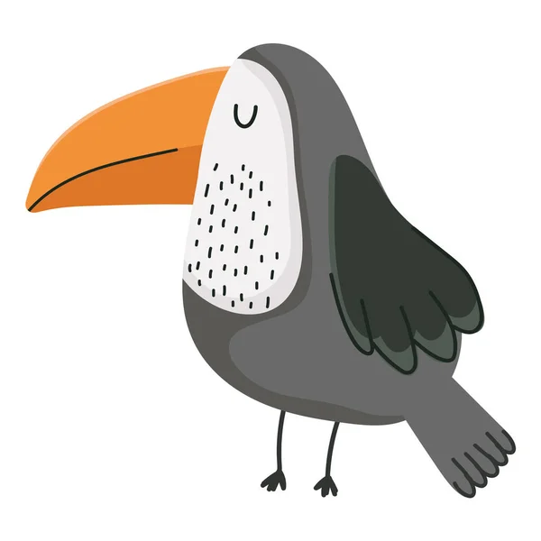 Toekan vogel dier cartoon — Stockvector