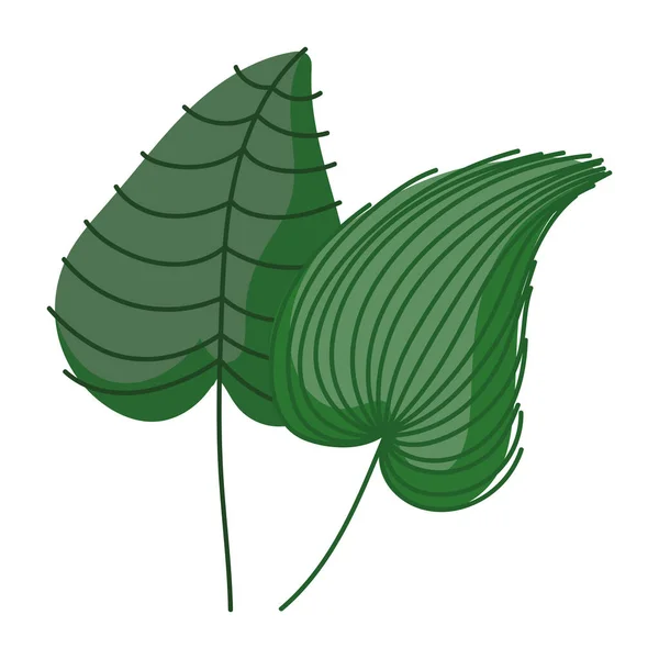 Vegetación de hojas tropicales — Archivo Imágenes Vectoriales