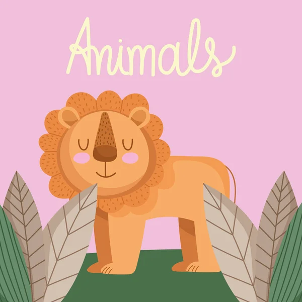 Κάρτα ζώου λιονταριού — Διανυσματικό Αρχείο