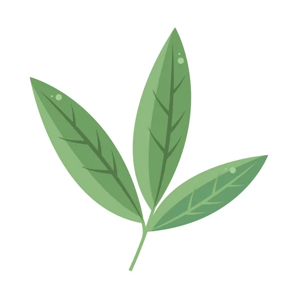 Φύλλα βλάστηση φυλλώματος — Διανυσματικό Αρχείο