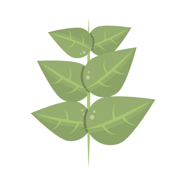 Blätter Stammkräuter — Stockvektor