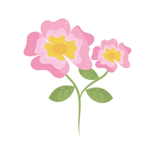 Pflanze mit rosa Blüten — Stockvektor