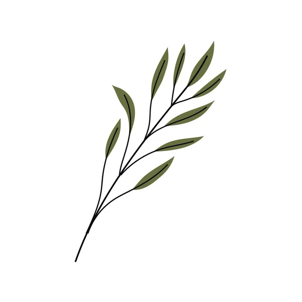 Φύλλα φυτού κλαδί — Διανυσματικό Αρχείο