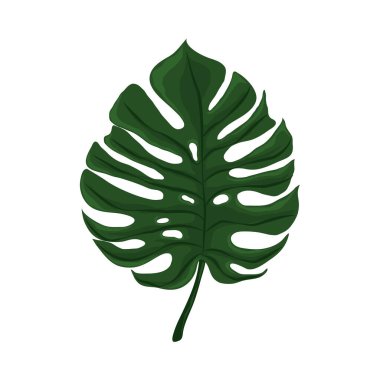 Yaprak canavarı tropikal