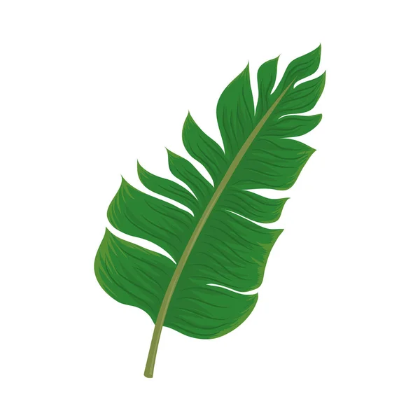 Palmblatt tropisch — Stockvektor
