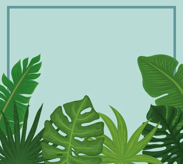 Bannière tropicale monstera — Image vectorielle