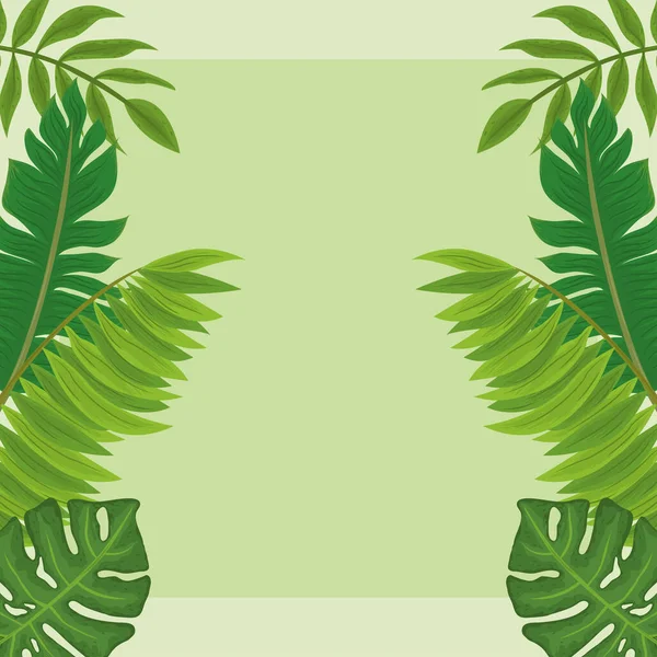 Folhas de vegetação tropical —  Vetores de Stock